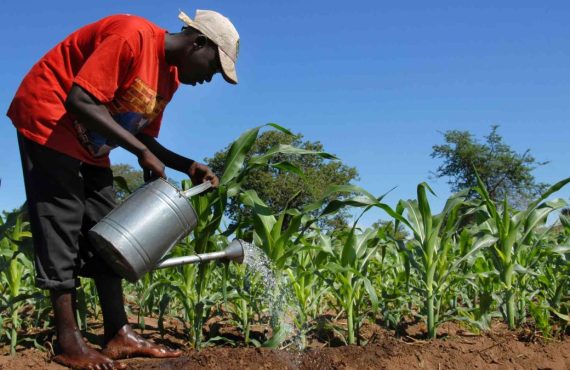 Empowering Farmers, Protecting Communities